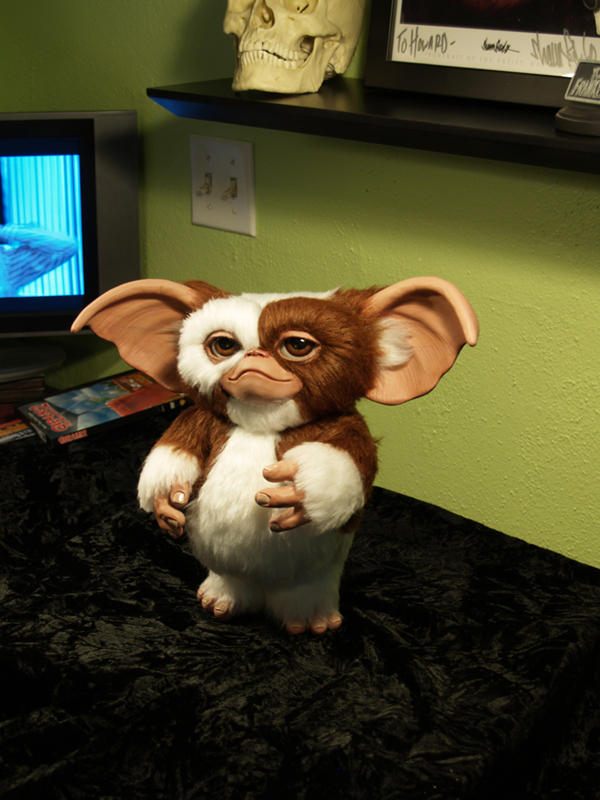 GizmoS2.jpg