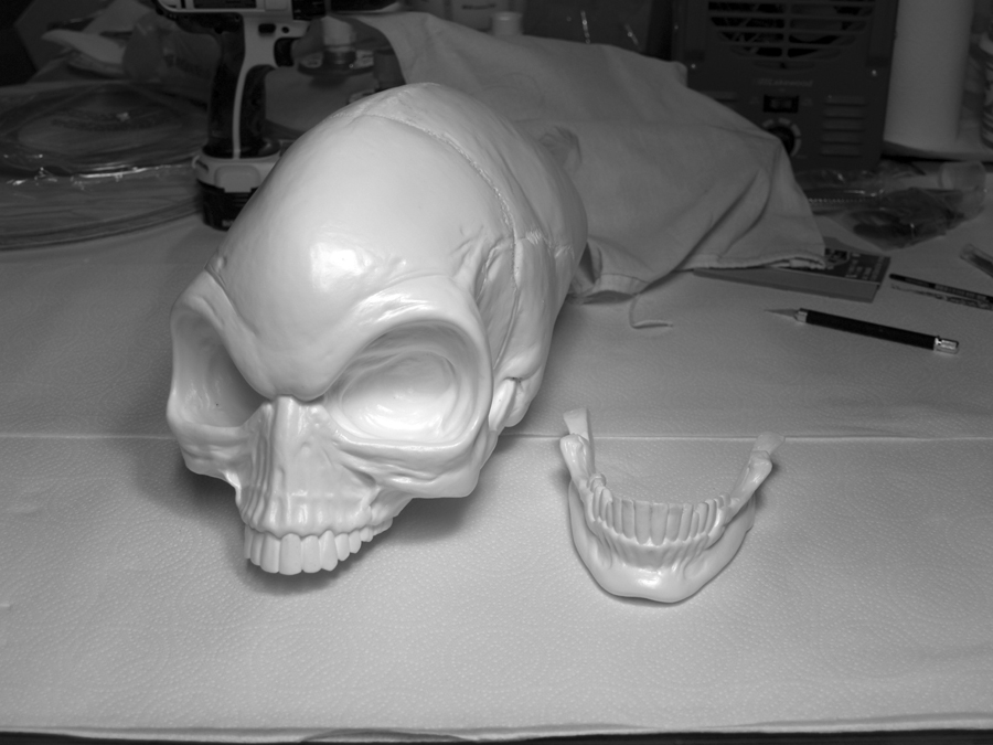cskull1.jpg
